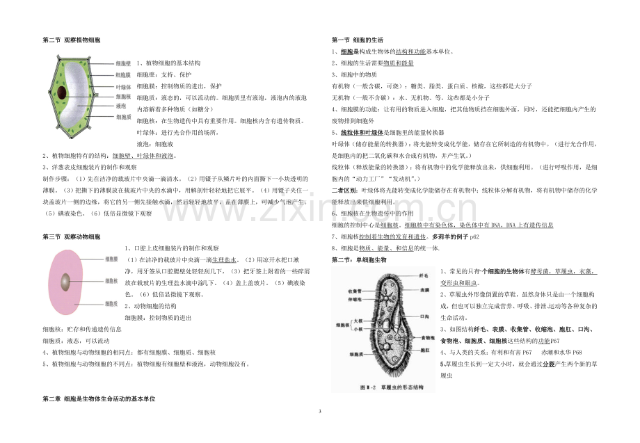 鲁教版六年级生物复习提纲.doc_第3页