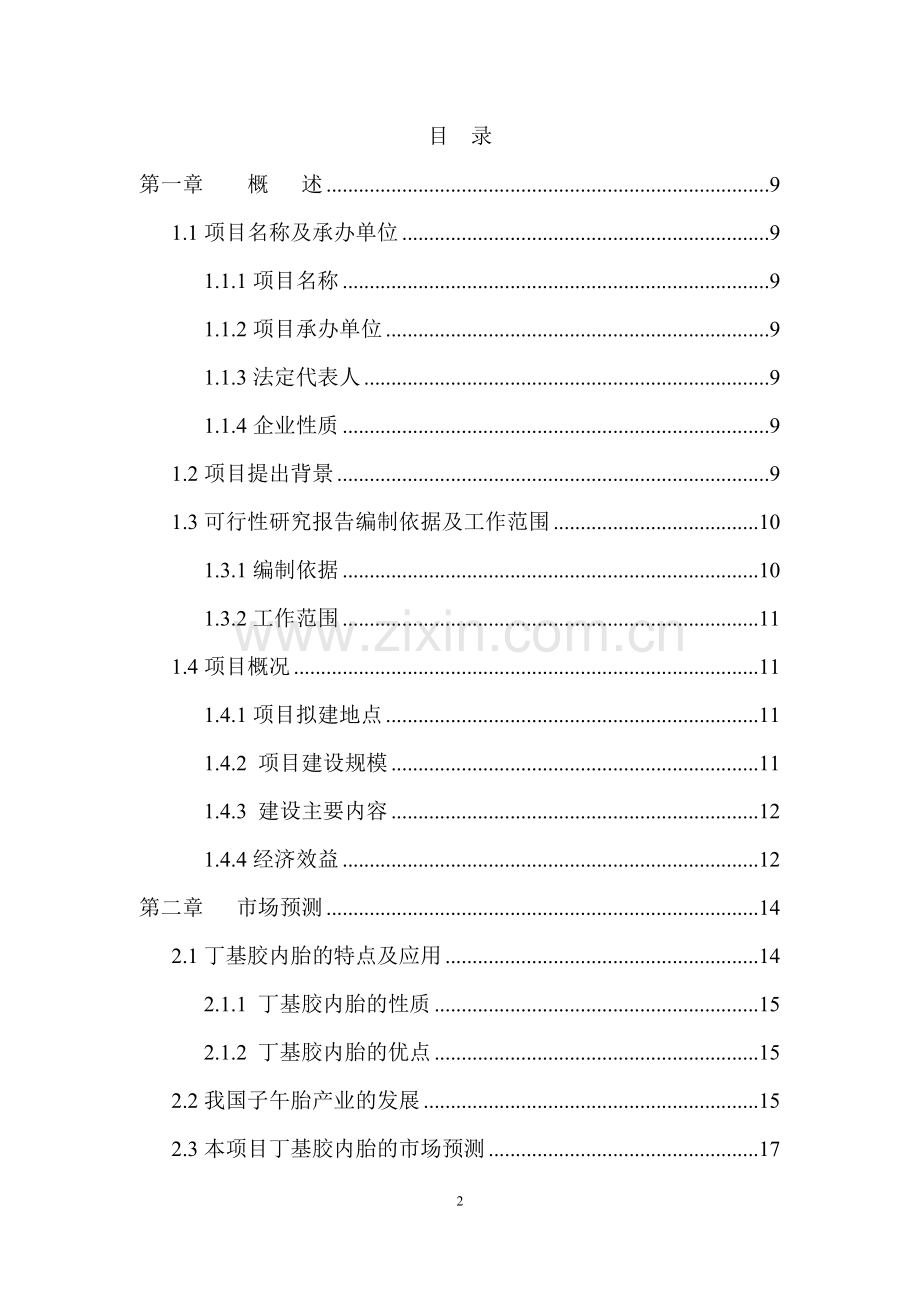 年产1500万条丁基胶内胎可行性分析报告.doc_第2页