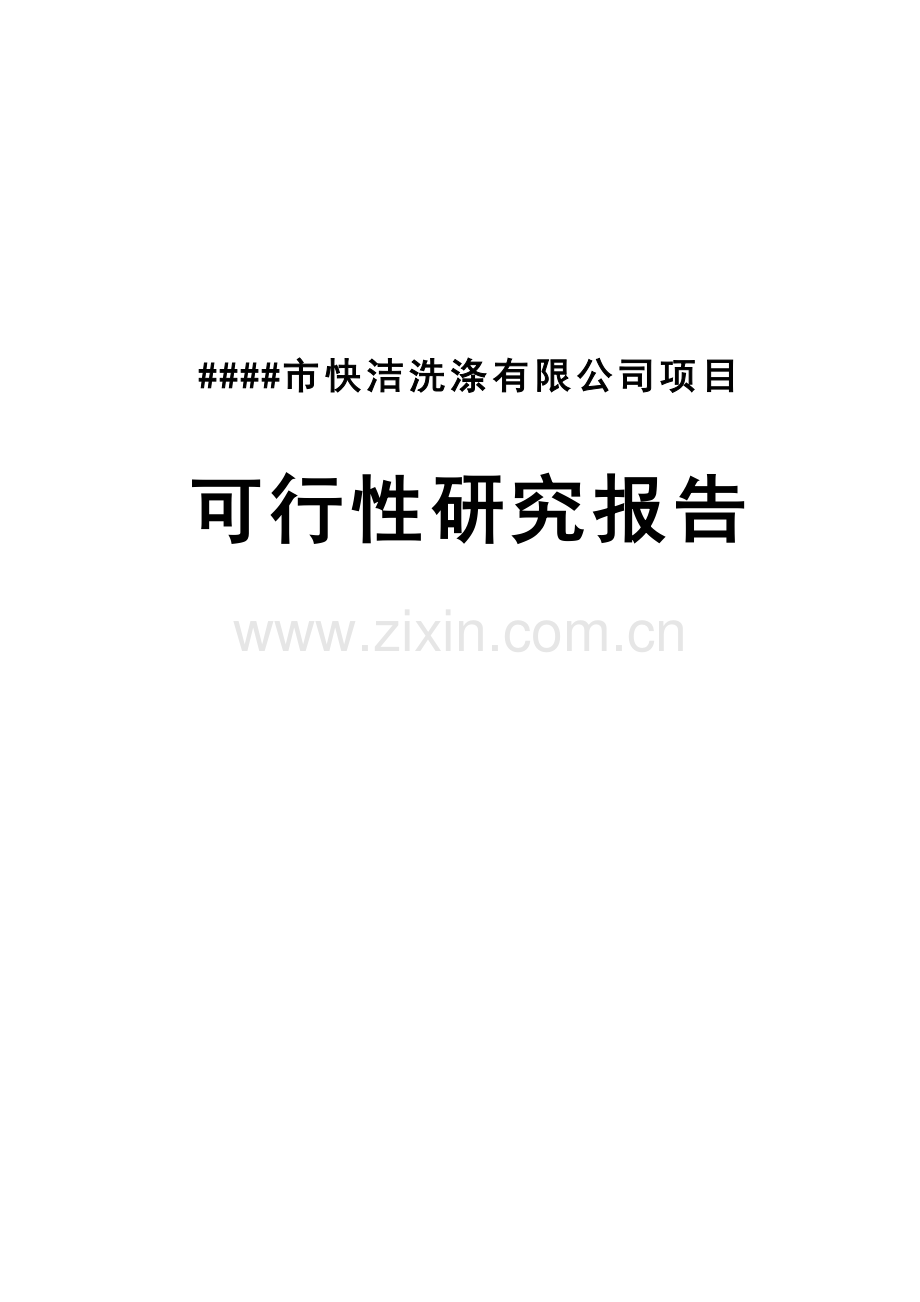 快洁洗涤有限公司项目可行性论证报告.doc_第1页