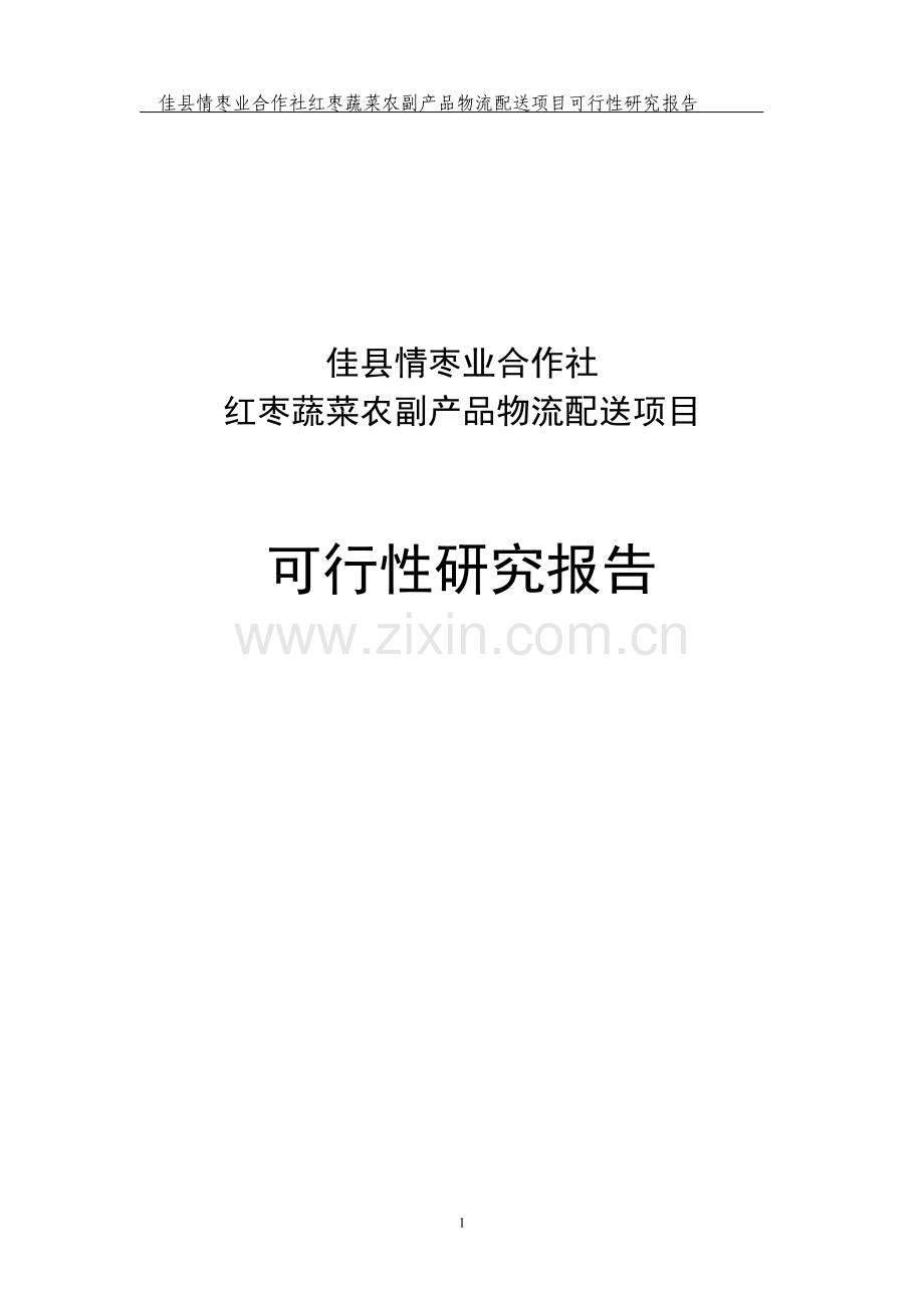 红枣蔬菜农副产品物流配送建设项目可行性研究报告.doc_第1页