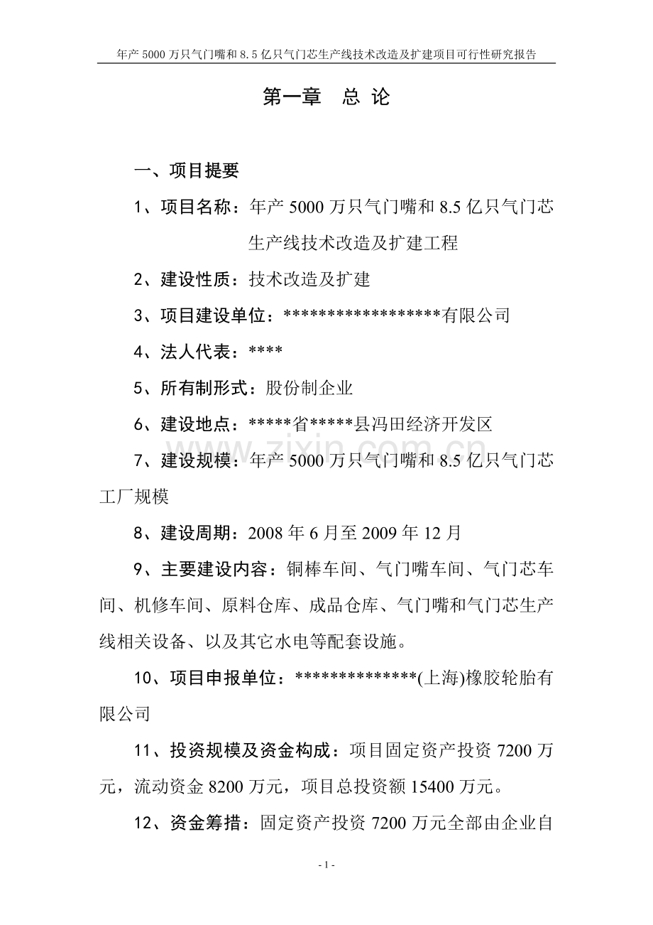 年产5000万只气门嘴和8.5亿只气门芯生产线技术改造及扩建项目可行性策划书.doc_第1页