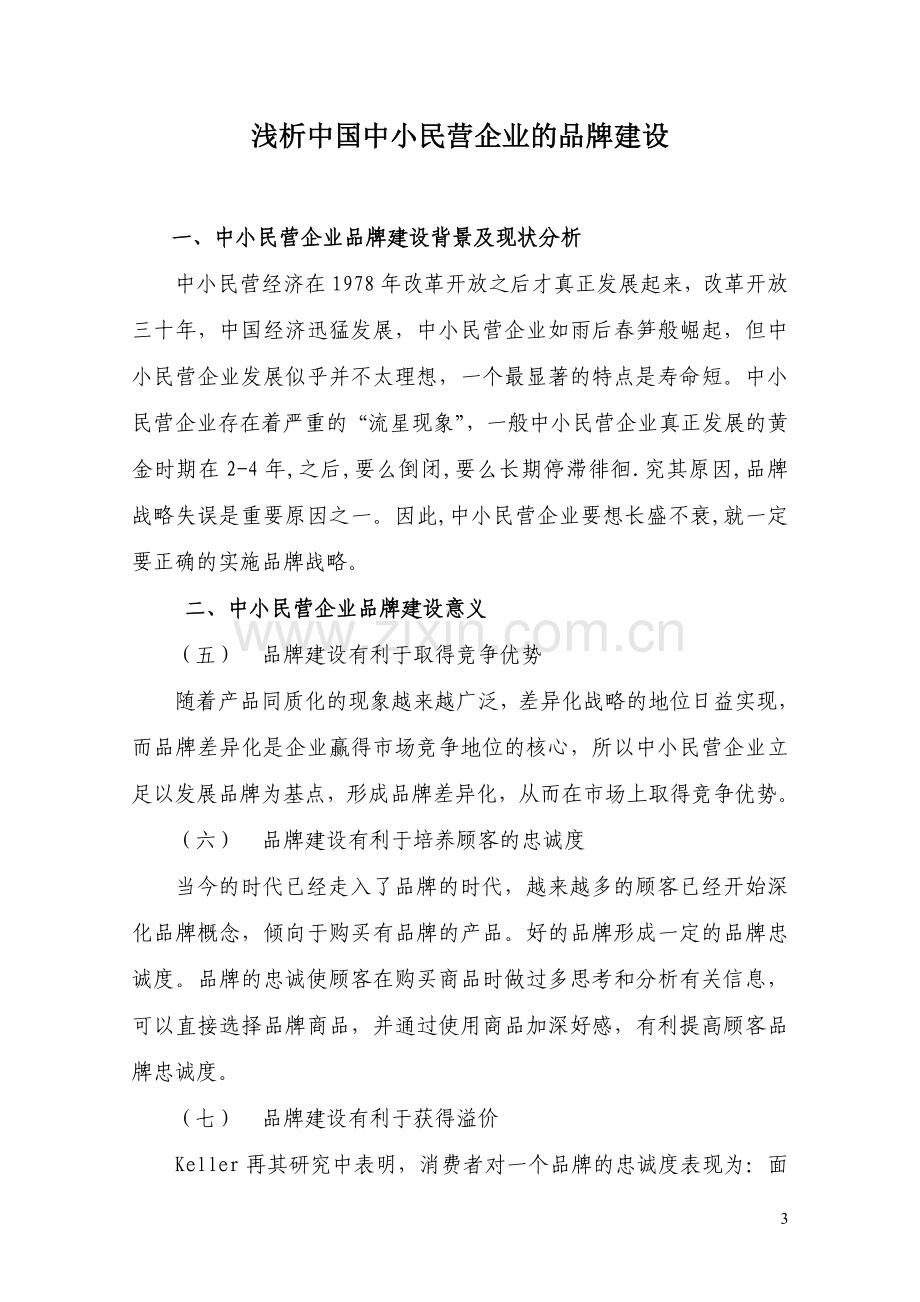 浅析中国中小民营企业的品牌建设经济管理.doc_第3页