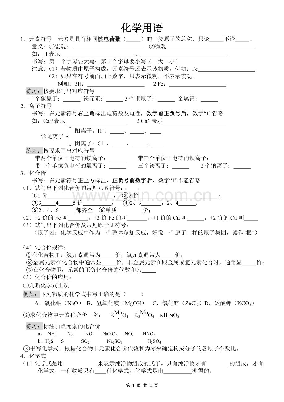 初中化学用语专题复习.doc_第1页