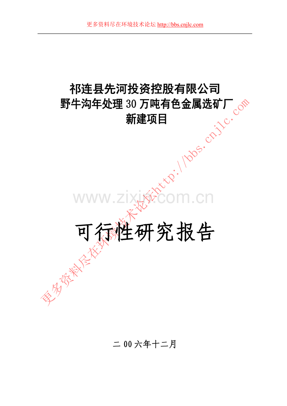 野牛沟年处理30万吨有色金属选矿厂新建可行性论证报告.doc_第1页