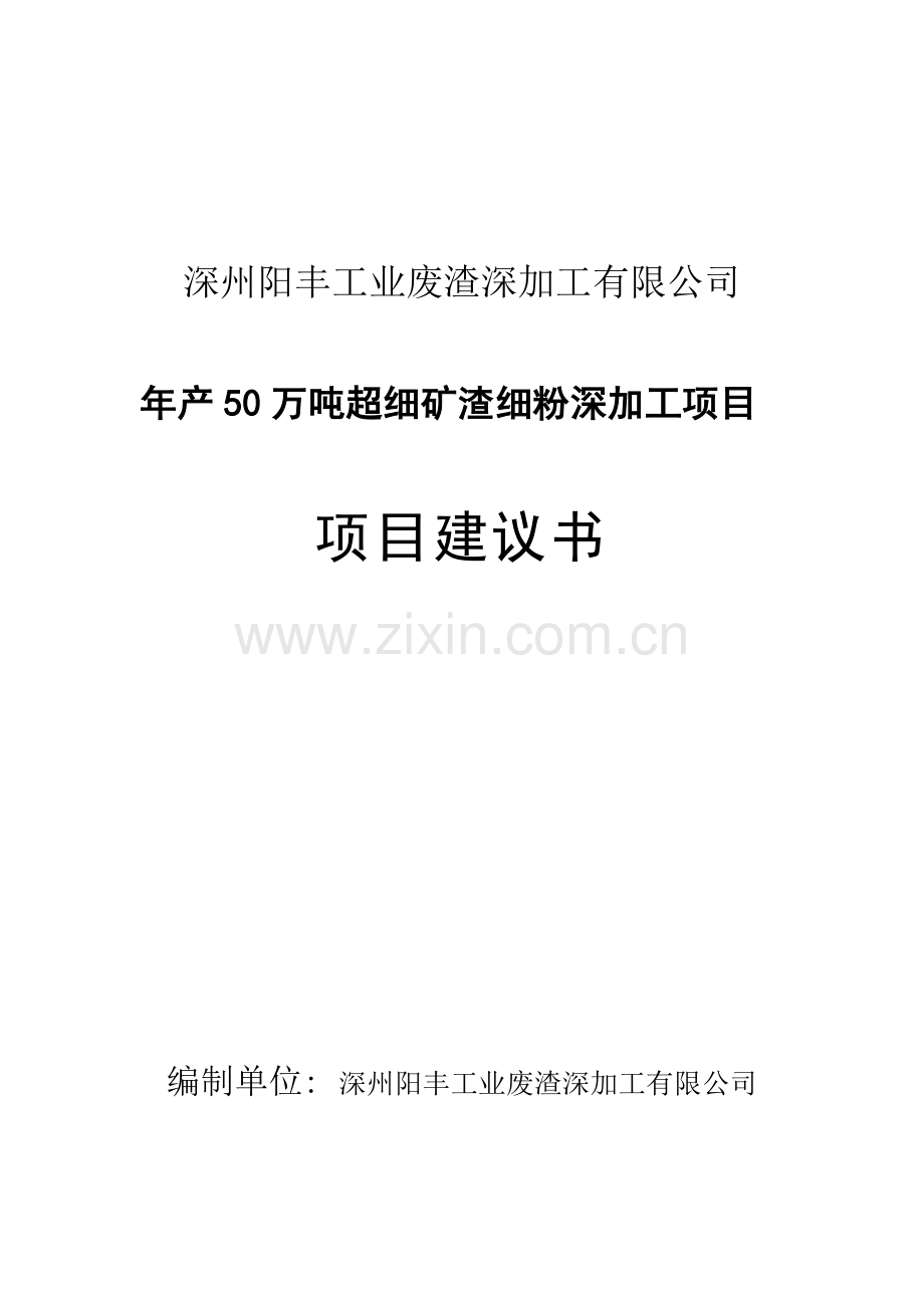 年产50万吨超细矿渣细粉深加工项目可行性策划书项目可行性研究报告.doc_第1页