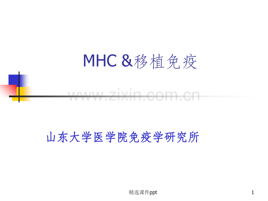 《MHC与移植免疫》PPT课件.ppt_第1页