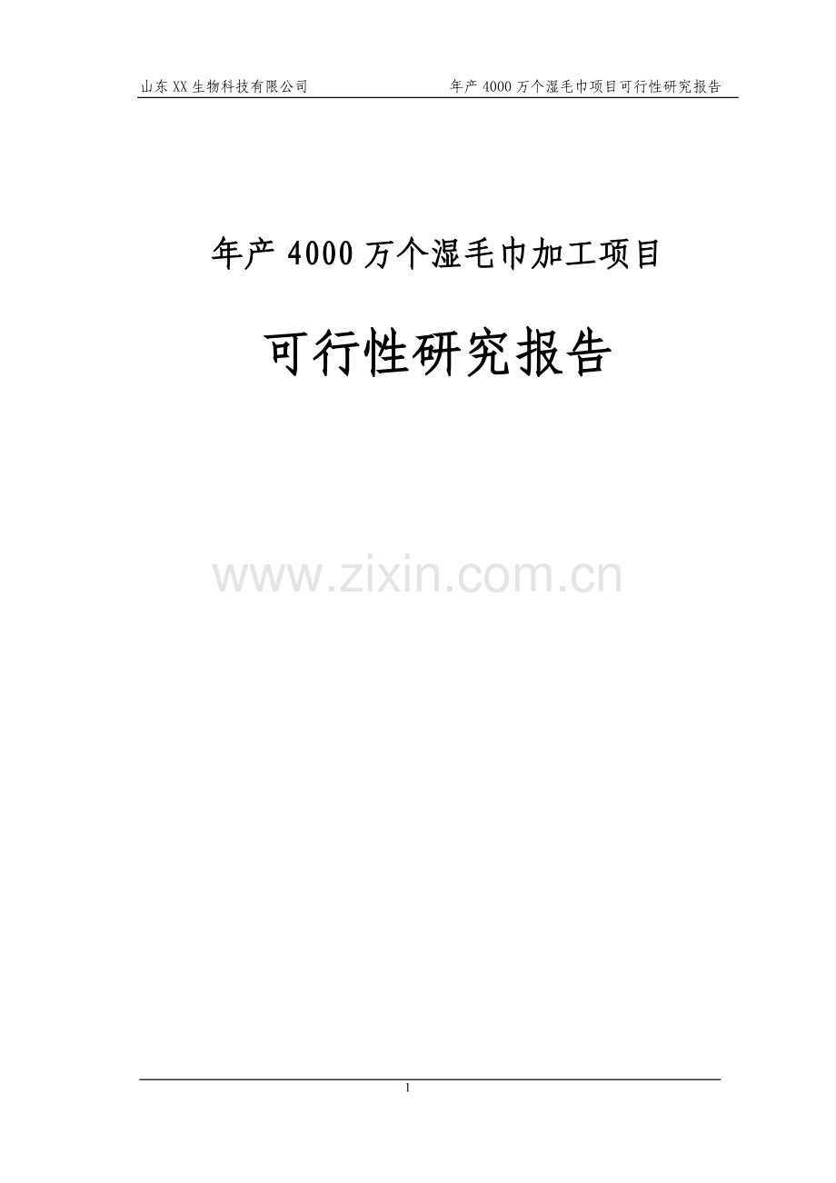 年产4000万个湿毛巾加工项目可行性研究报告代项目可行性研究报告.doc_第1页