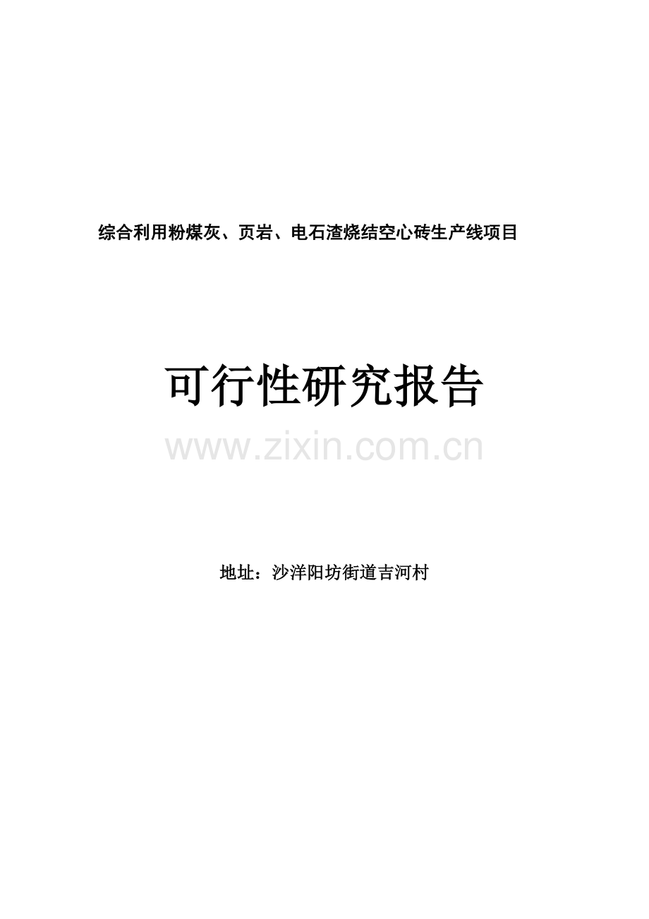 综合利用粉煤灰、页岩、电石渣烧结空心砖生产线项目可行性论证报告.doc_第1页