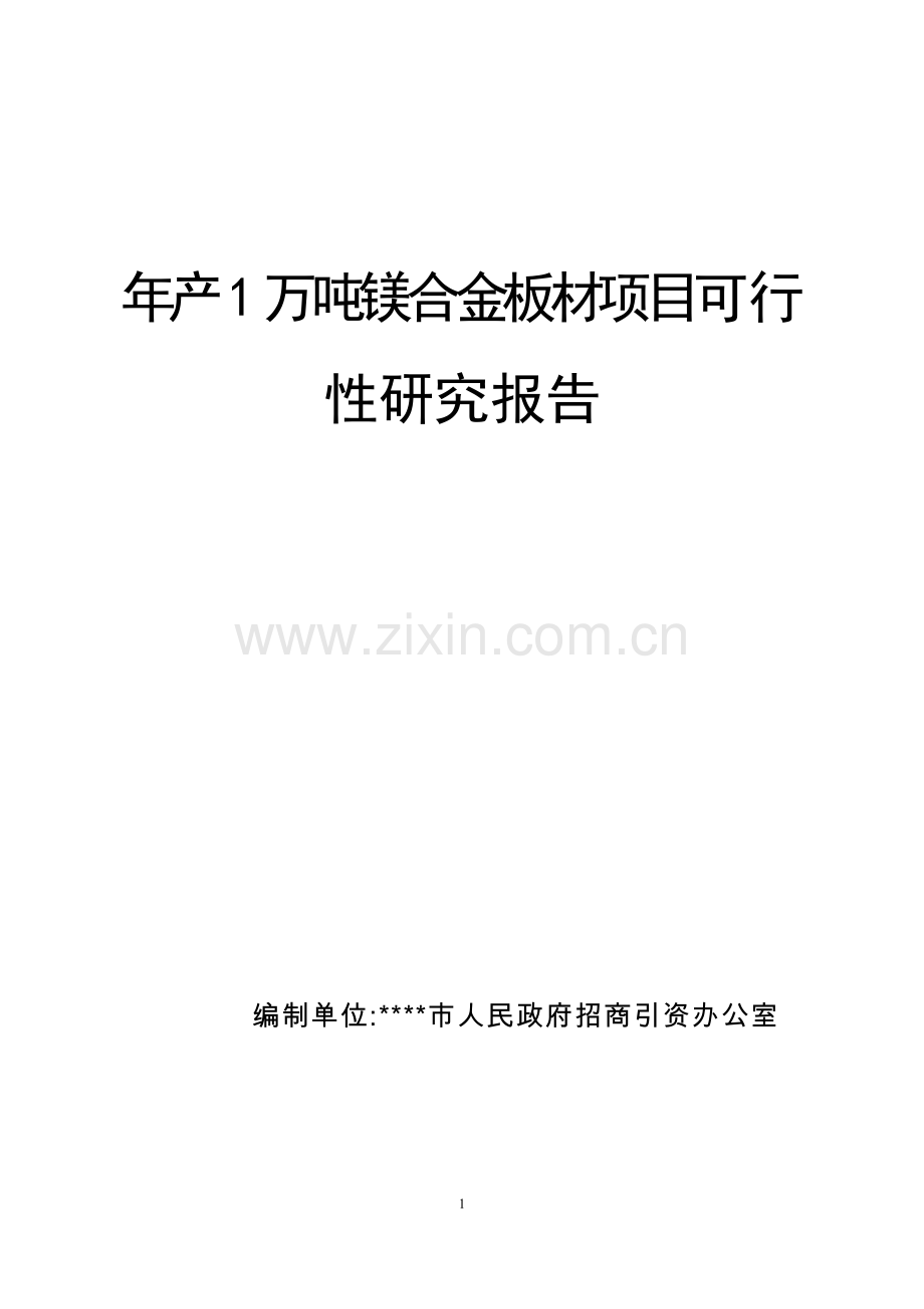 年产1万吨镁合金板材新建可行性策划书.doc_第1页