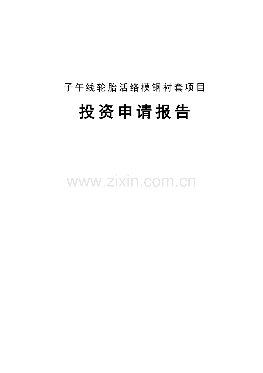 子午线轮胎活络模钢衬套项目投资可行性研究报告.doc_第1页