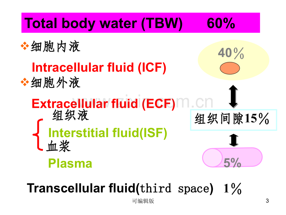 水、电解质平衡紊乱.ppt_第3页