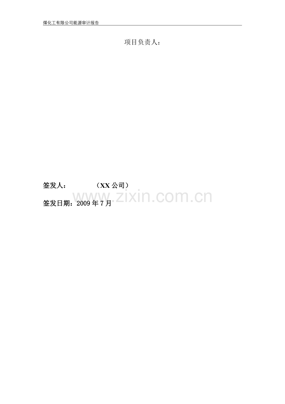 xx(焦化)煤化工有限公司能源审计报告(优秀甲级资质报告).doc_第2页