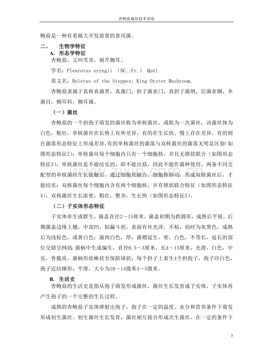 杏鲍菇栽培技术讲座—--标准.技术.doc_第3页