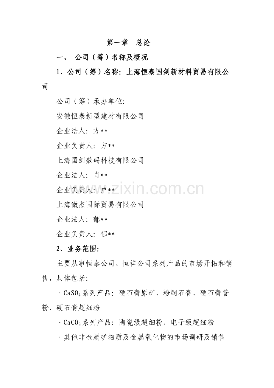 新材料贸易有限公司新建项目可行性论证报告.doc_第1页