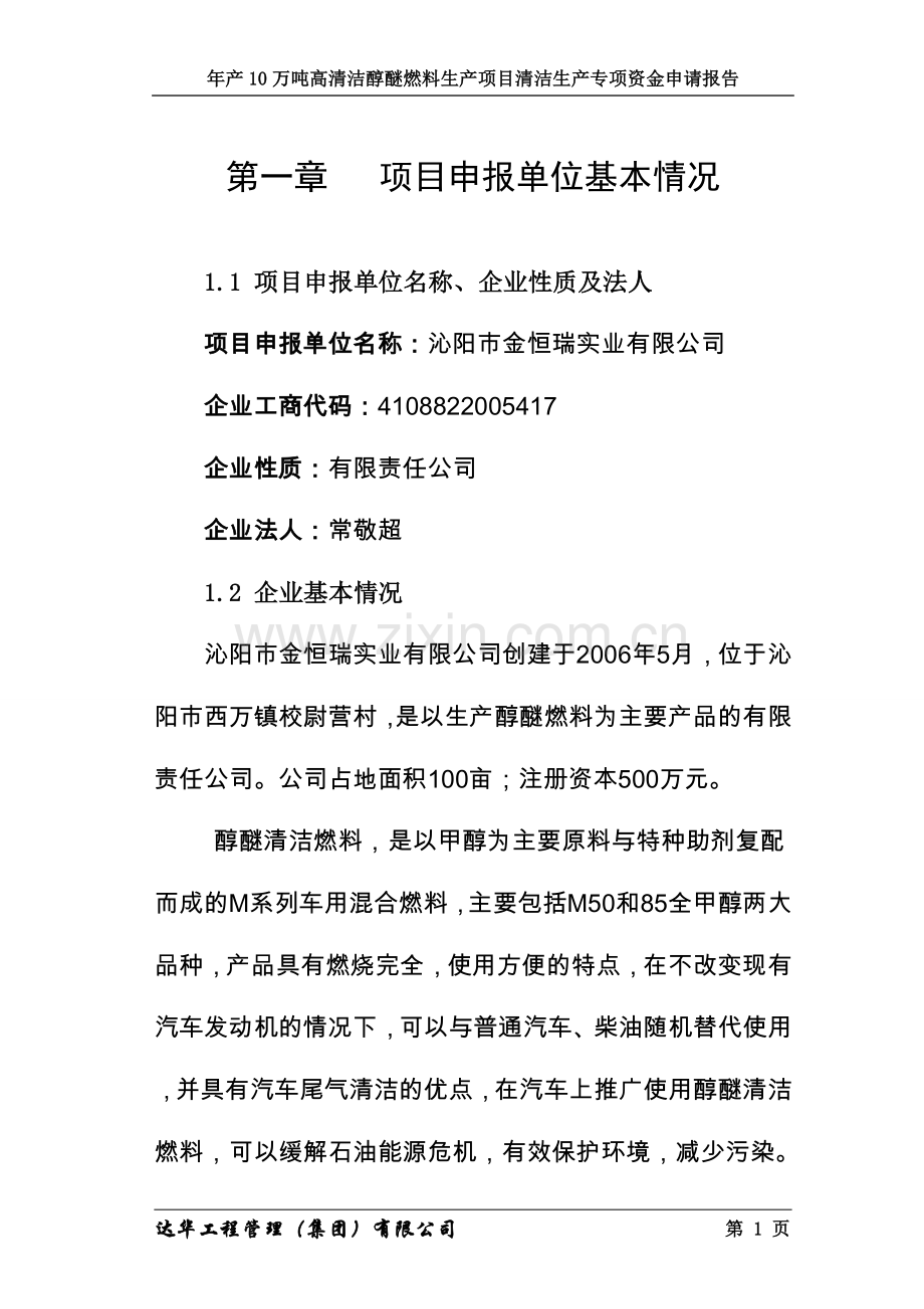 10万吨醇醚燃料项目可行性谋划书.doc_第1页