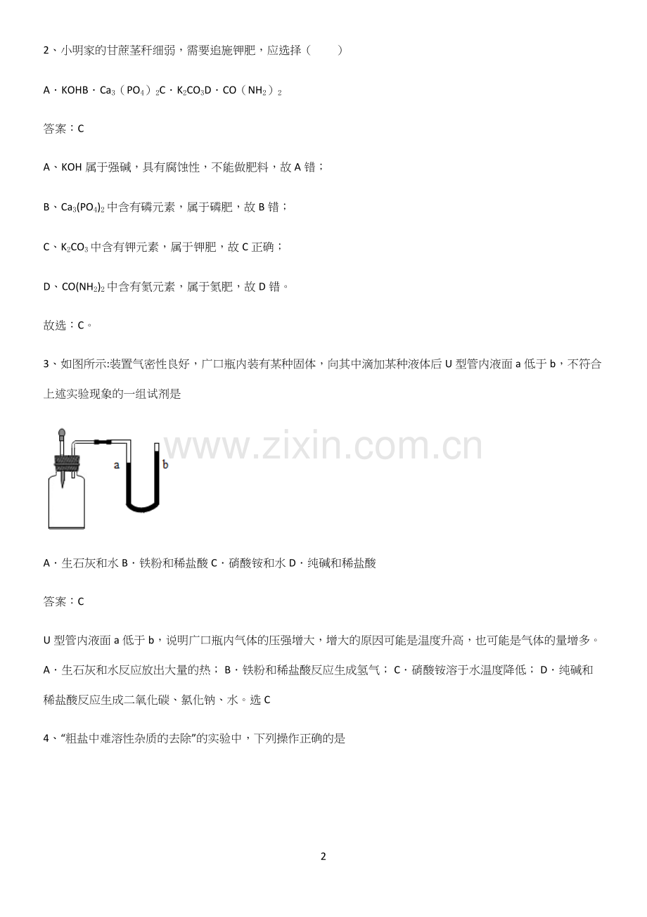 通用版初中化学九年级化学下册第十一单元盐化肥重点知识点大全.docx_第2页