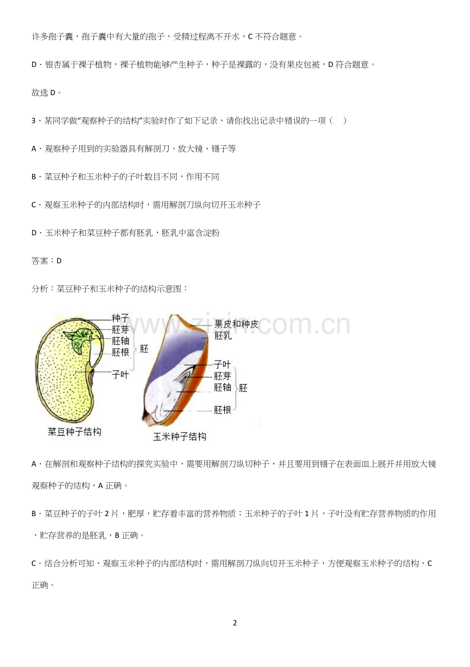 郑州市初中生物七年级上册第三单元生物圈中的绿色植物知识集锦.docx_第2页