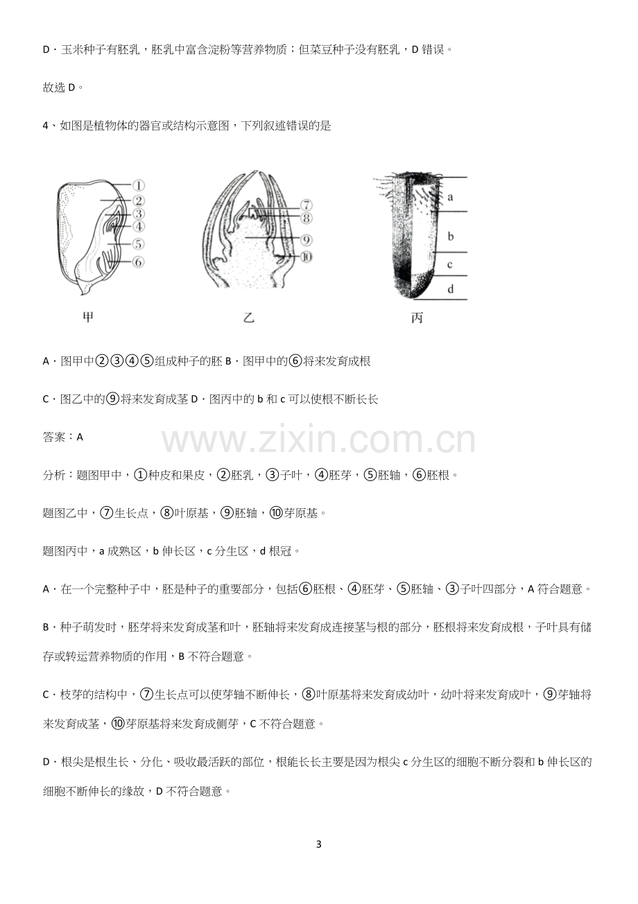 郑州市初中生物七年级上册第三单元生物圈中的绿色植物知识集锦.docx_第3页