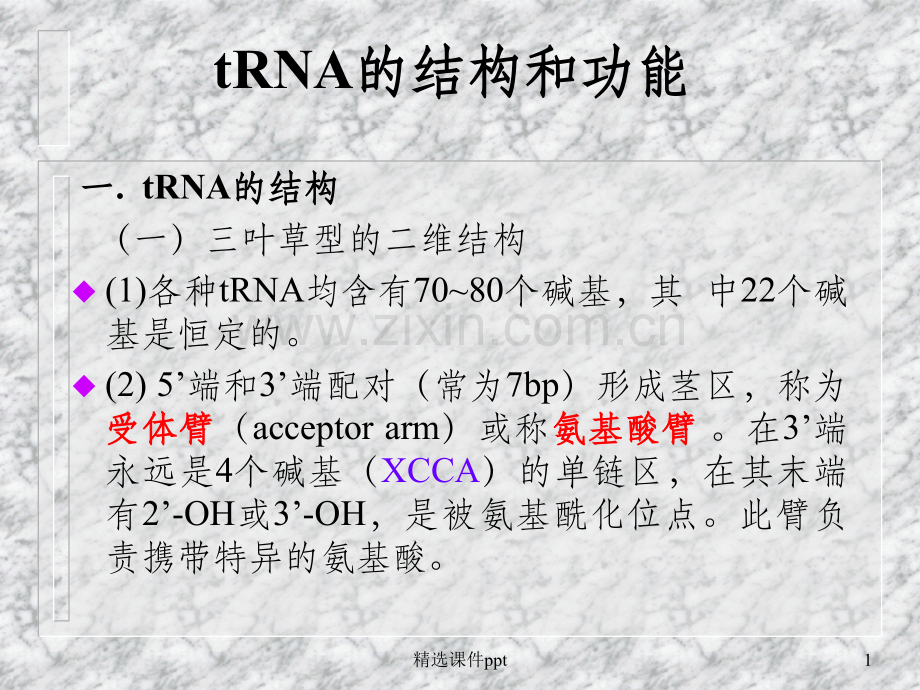 《RNA的结构和功能》PPT课件.ppt_第1页