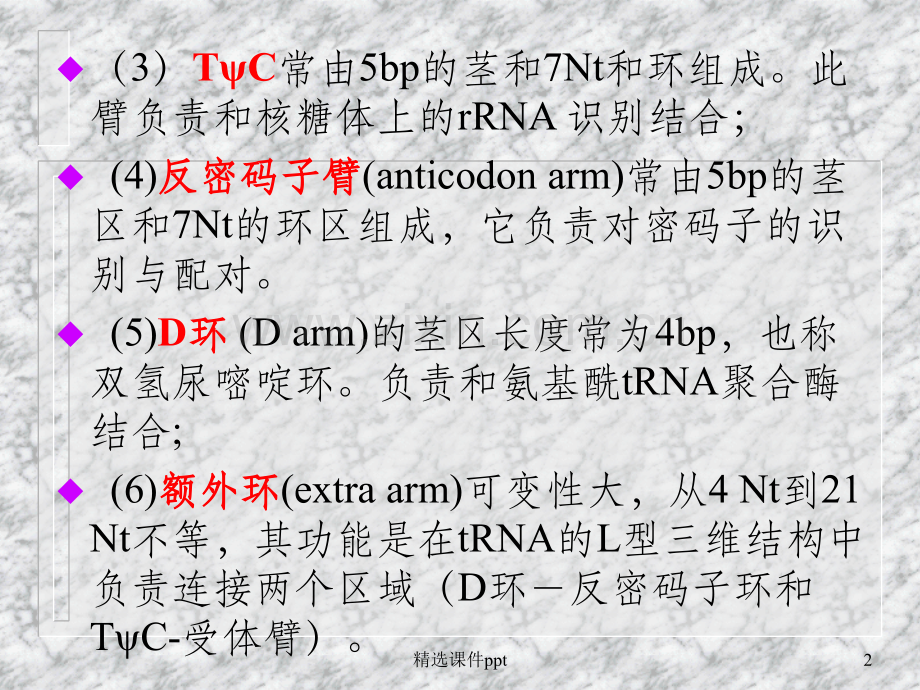 《RNA的结构和功能》PPT课件.ppt_第2页