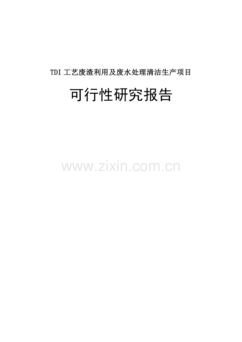 工艺废渣利用及废水处理清洁生产项目申请建设可研报告.doc_第1页