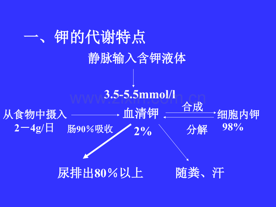 -钾代谢紊乱-PPT课件医学PPT课件.ppt_第2页