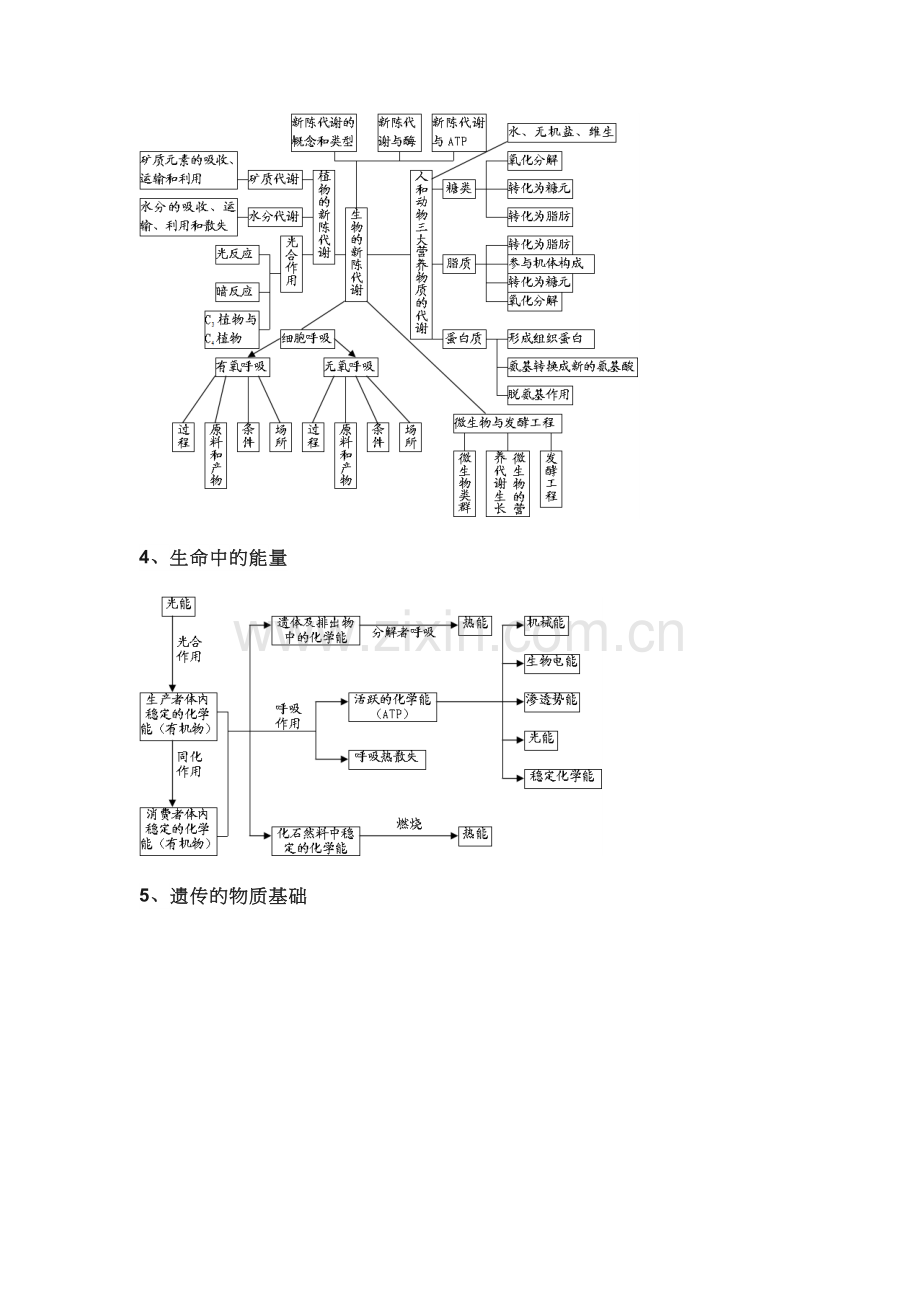 高中生物知识框架图.doc_第2页