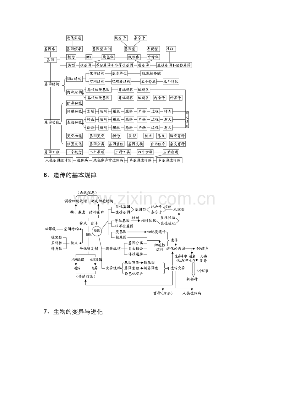 高中生物知识框架图.doc_第3页