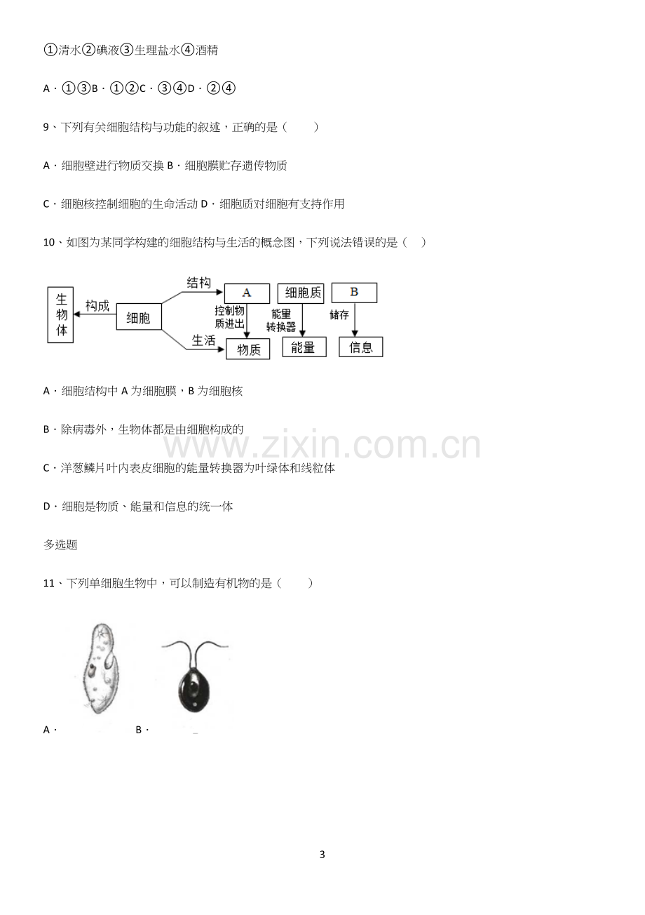 通用版初中生物七年级上册第二单元生物体的结构层次知识点总结.docx_第3页