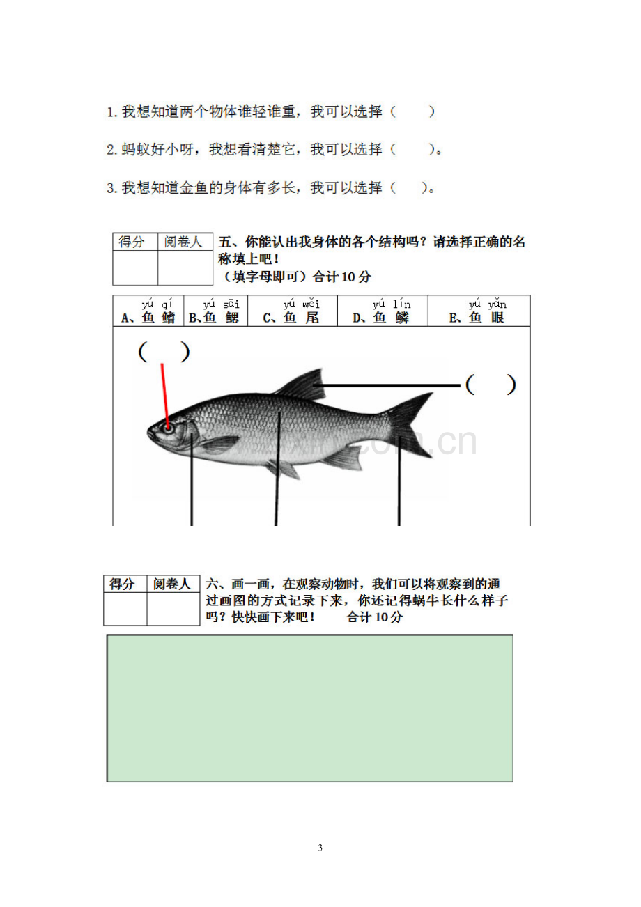 一年级科学期末试题(教育科学出版社版).doc_第3页