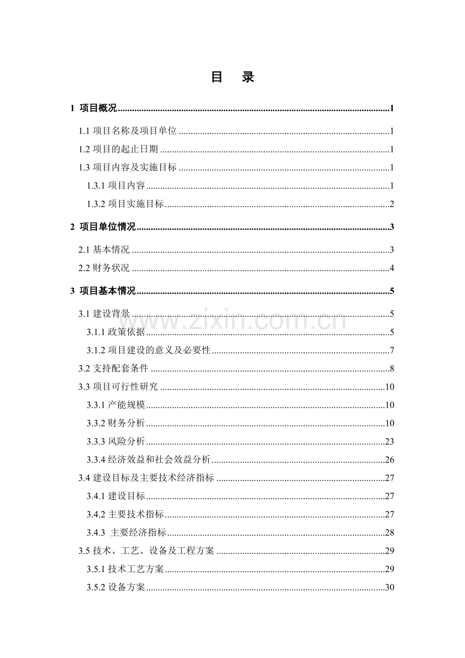 bopp生产线技术改造建设可行性策划书.doc_第1页