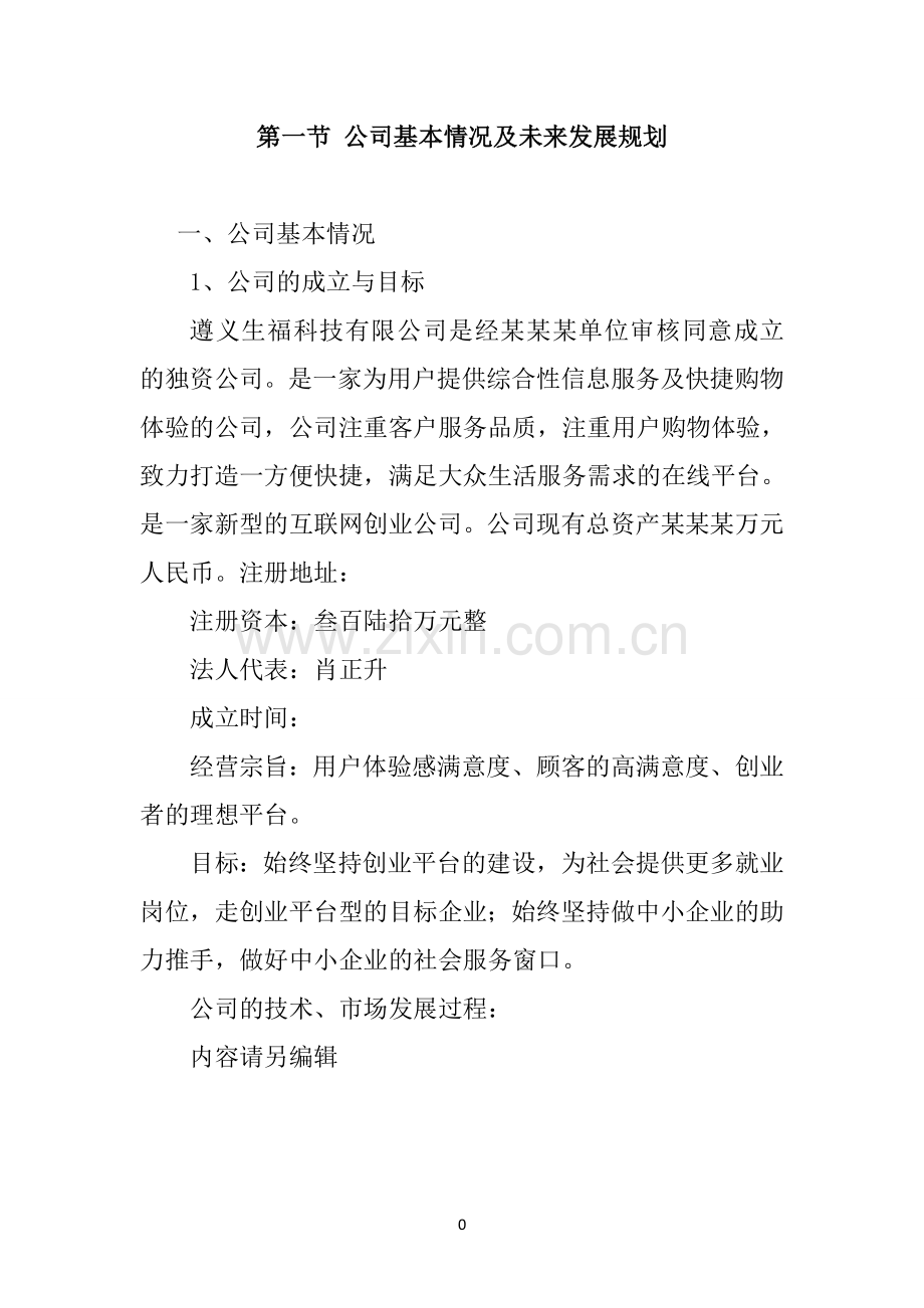 策划方案-—综合性信息服务及快捷购物体验电商公司商业计划书.doc_第3页