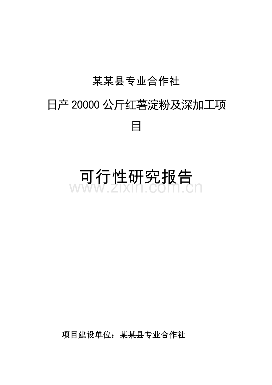 日产20000公斤红薯淀粉及深加工可行性策划报告.doc_第1页