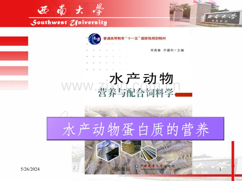 水产动物蛋白质的营养.ppt_第1页