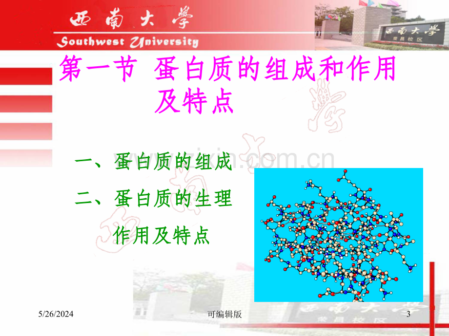 水产动物蛋白质的营养.ppt_第3页