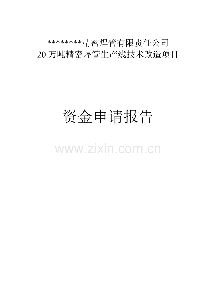 20万吨精密焊管生产线技术改造项目可行性研究报告.doc_第1页