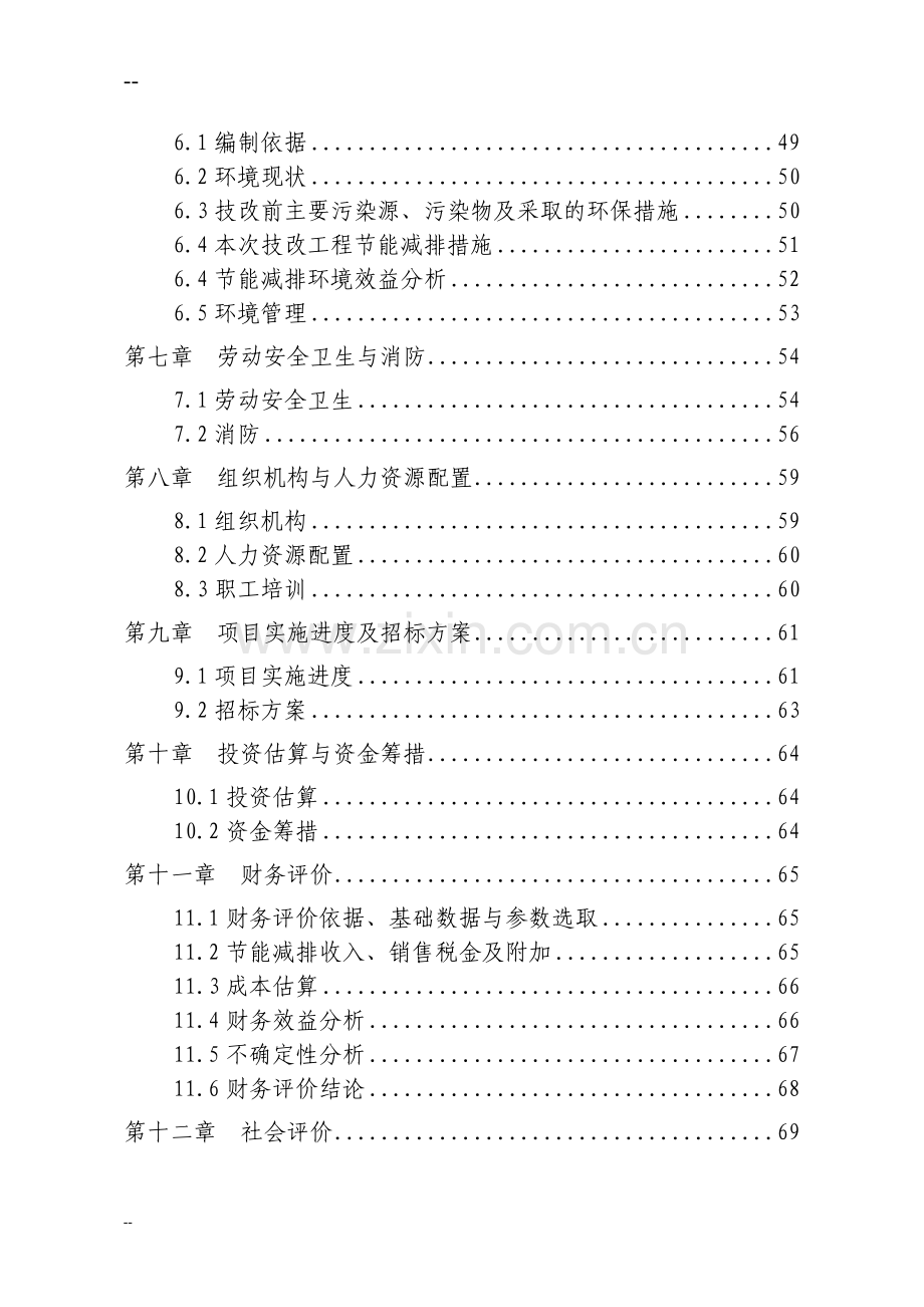 某某氮肥厂节能减排技术改造项目可行性研究报告.doc_第2页