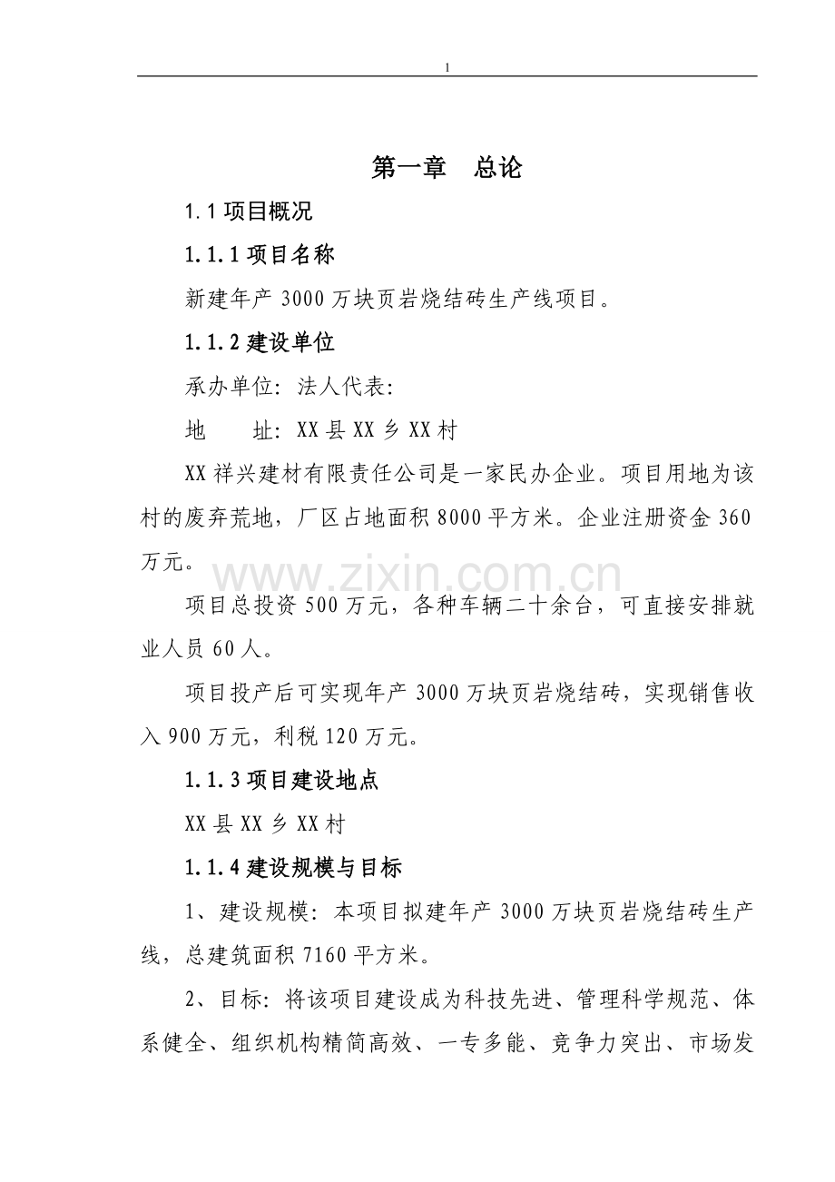 新建年产3000万块页岩烧结砖生产线项目投资可行性研究分析报告.doc_第1页