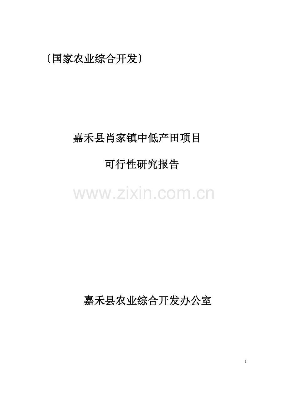 嘉禾县肖家镇中低产田项目可行性论证报告(国家农业综合开发项目).doc_第1页