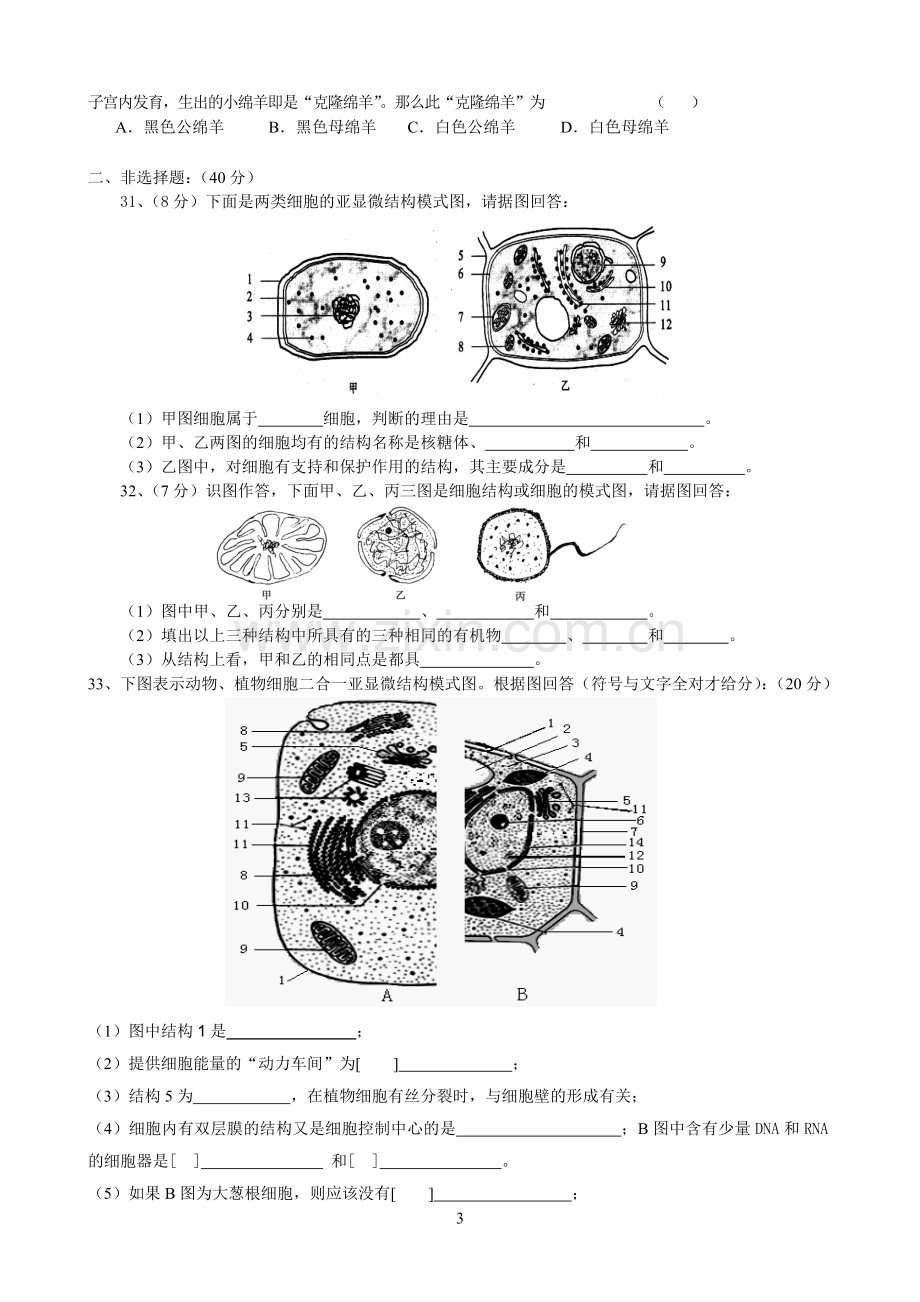 高中生物必修一第三章测试题1.doc_第3页