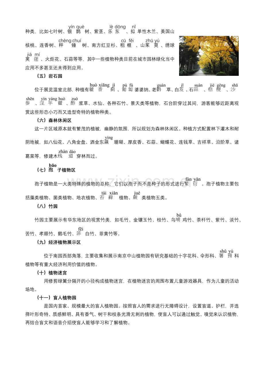 南京中山植物园.doc_第2页