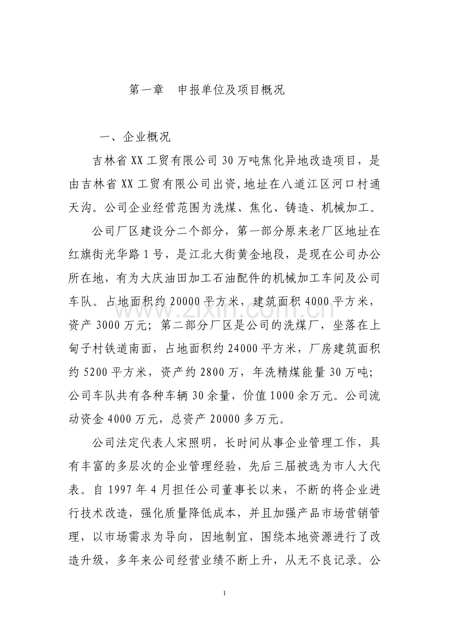 30-万吨焦化异地改造项目可行性研究报告.doc_第1页