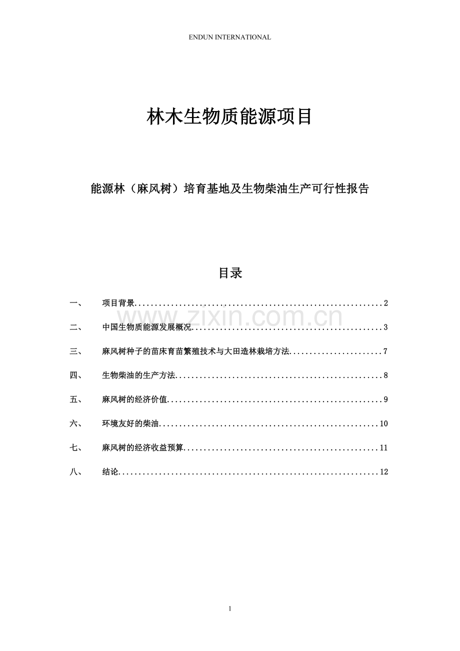 能源林(麻风树)培育基地及生物柴油生产项目建设可行性研究报告.doc_第1页