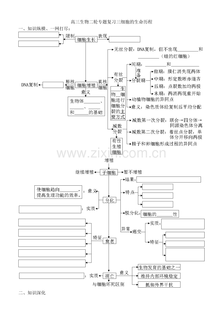 高三生物二轮专题复习三细胞的生命历程.doc_第1页