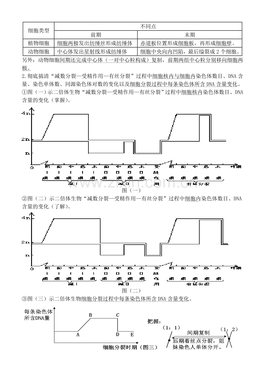 高三生物二轮专题复习三细胞的生命历程.doc_第3页