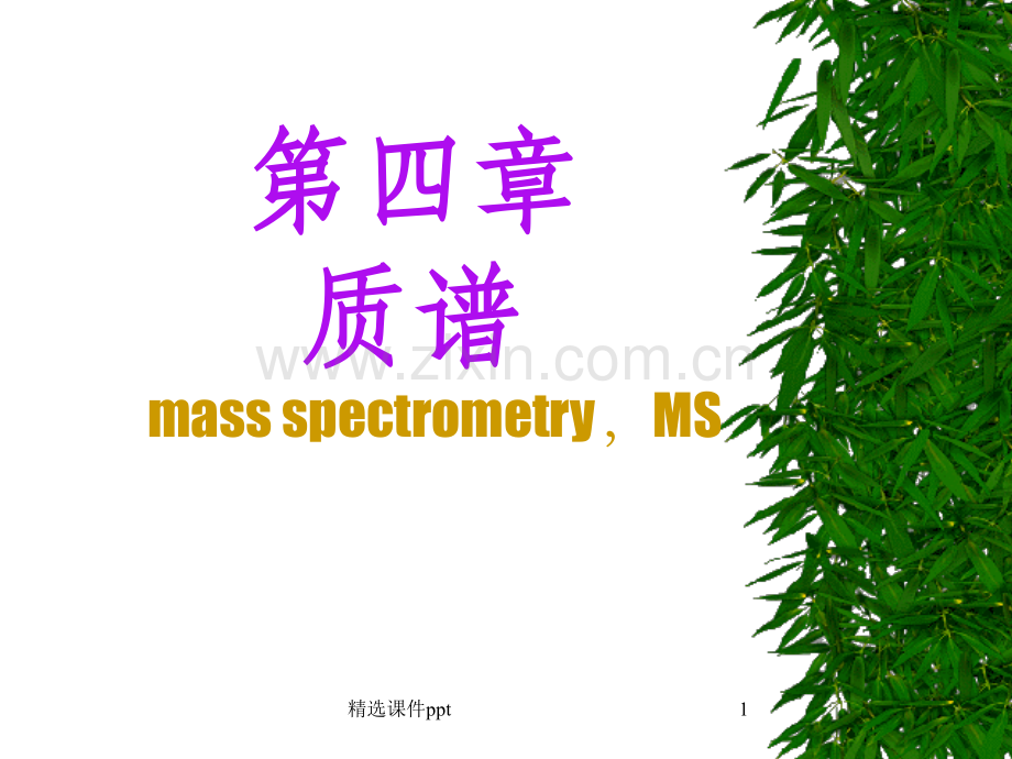 《MS1原理和仪器》PPT课件.ppt_第1页