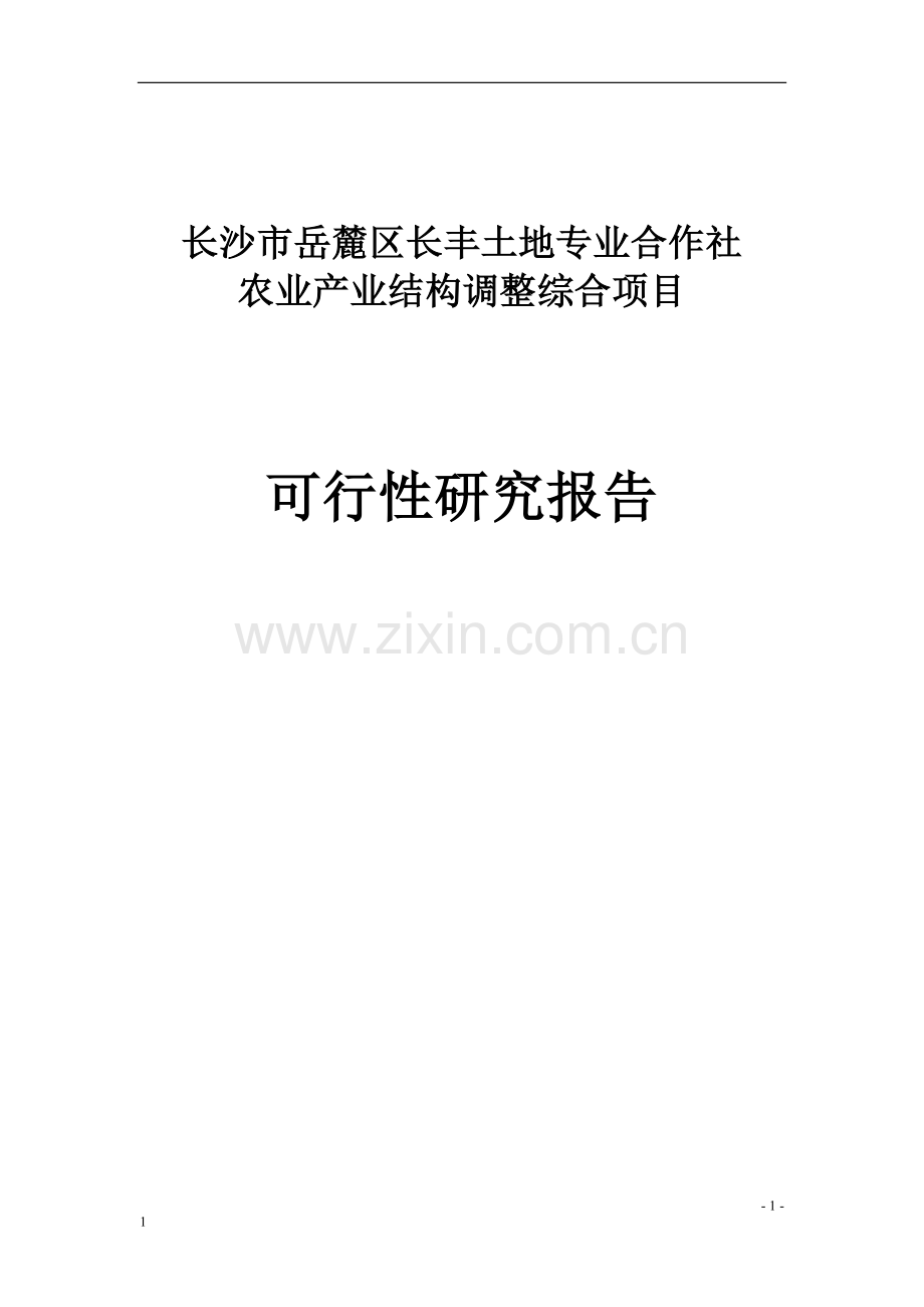 五丰村农业产业结构调整综合项目建设可行性研究报告.doc_第1页