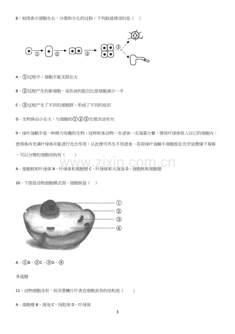 通用版初中生物七年级上册第二单元生物体的结构层次必考知识点归纳.docx_第3页