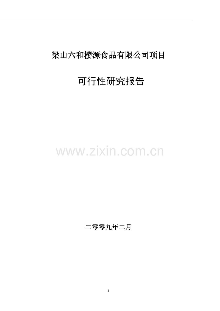 梁山六和樱源食品有限公司项目建设投资可行性研究报告.doc_第1页