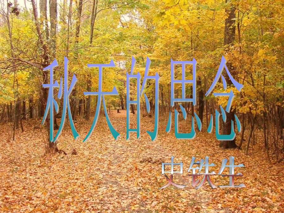 《秋天的思念》阅读.ppt_第1页